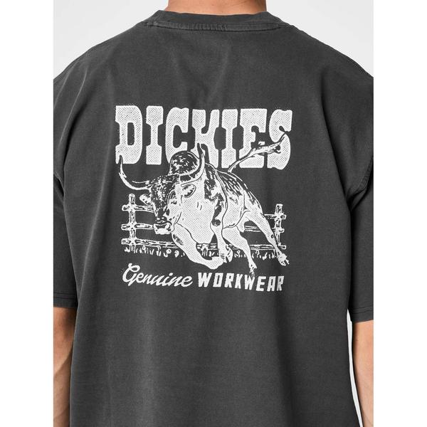 Dickies Buchtell Graphic T-Shirt Faded Black