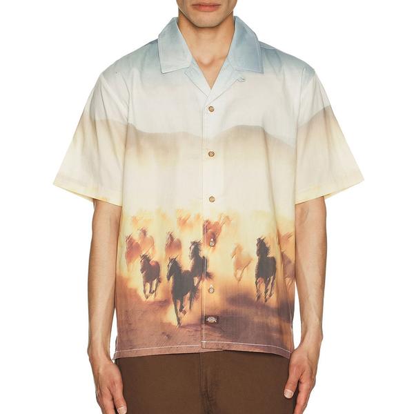 Dickies Skateboarding Running Wild Shirt Oak Buff