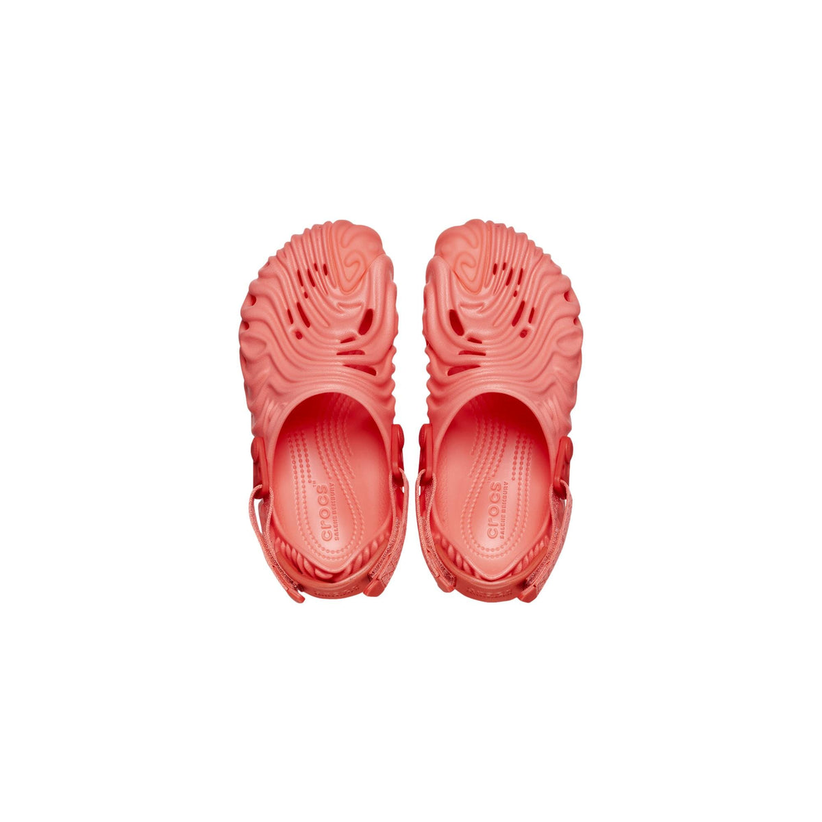Crocs Salehebembury x Crocs Pollex Clog Begonia  208600-6WN Pre-School