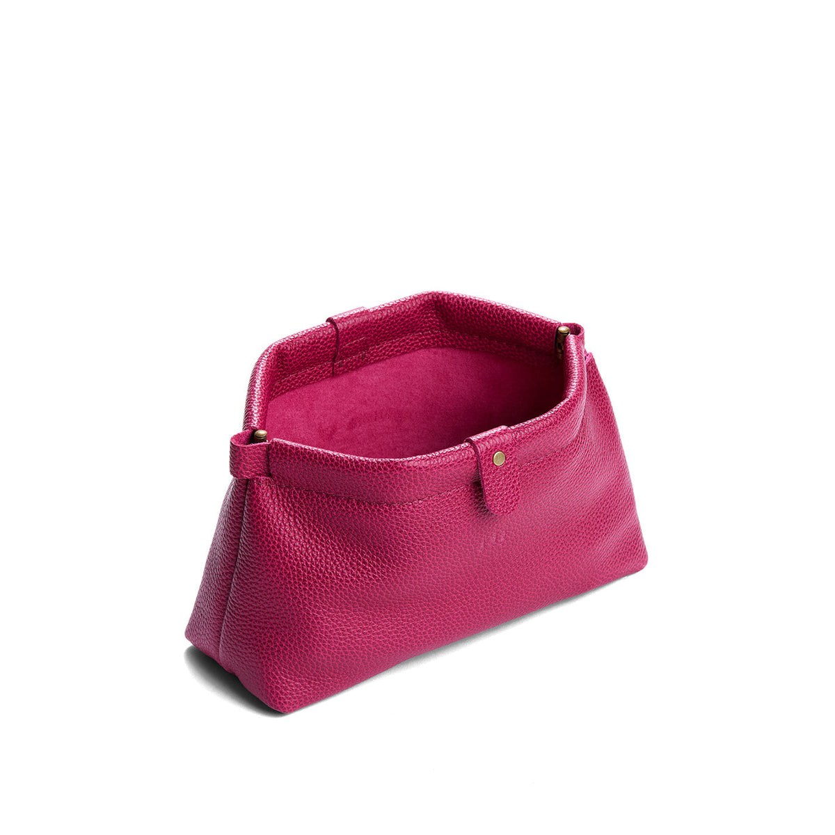 Famed Framed Pouch
