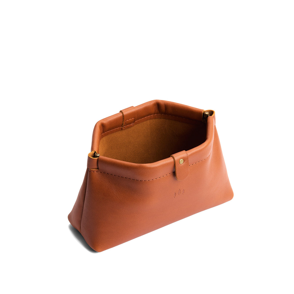Famed Framed Pouch