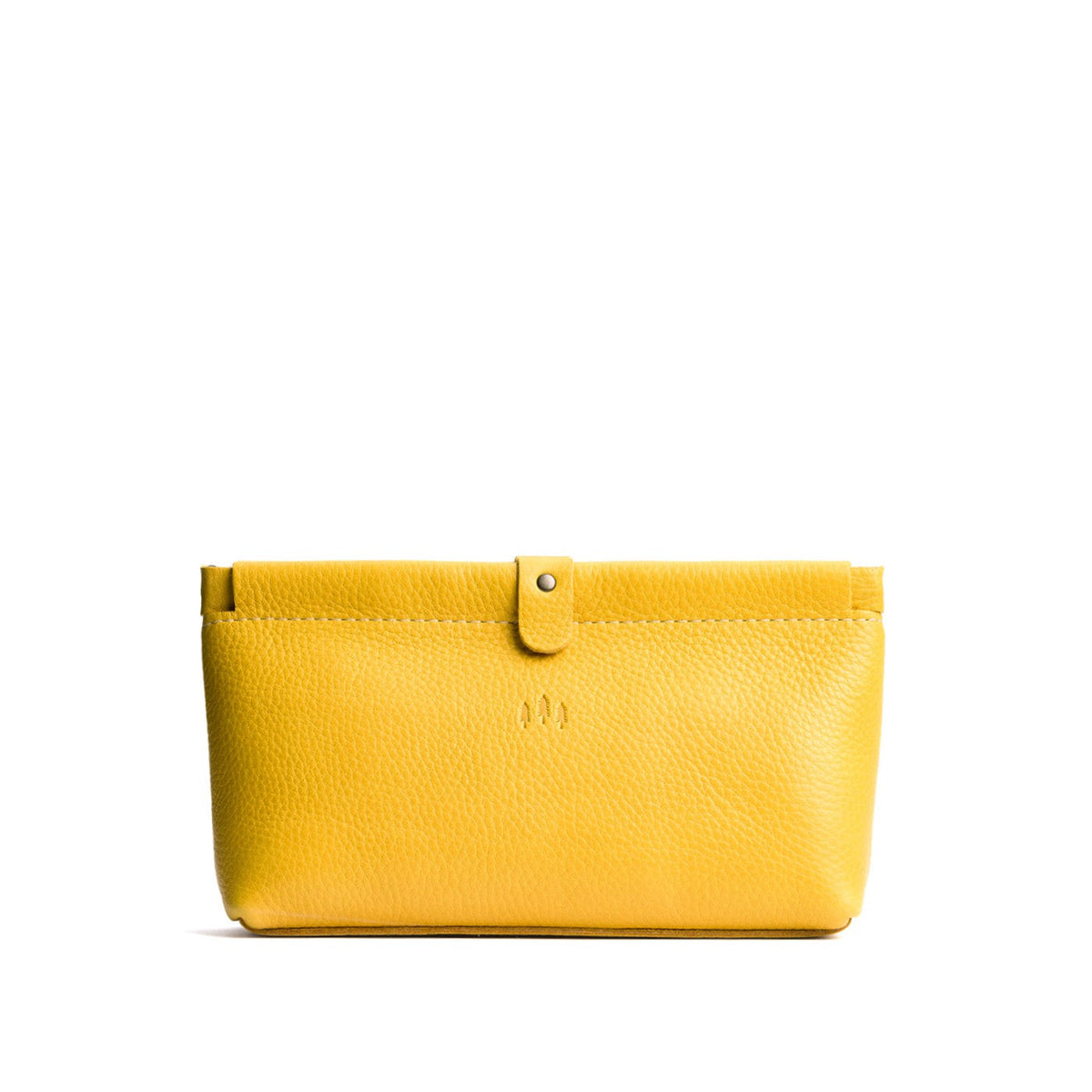 Famed Framed Pouch