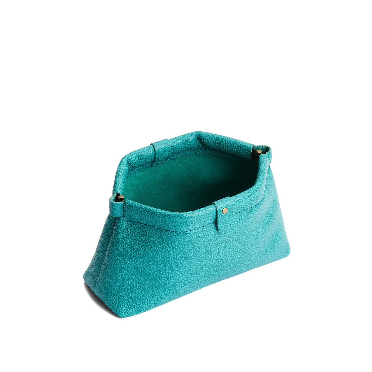 Famed Framed Pouch