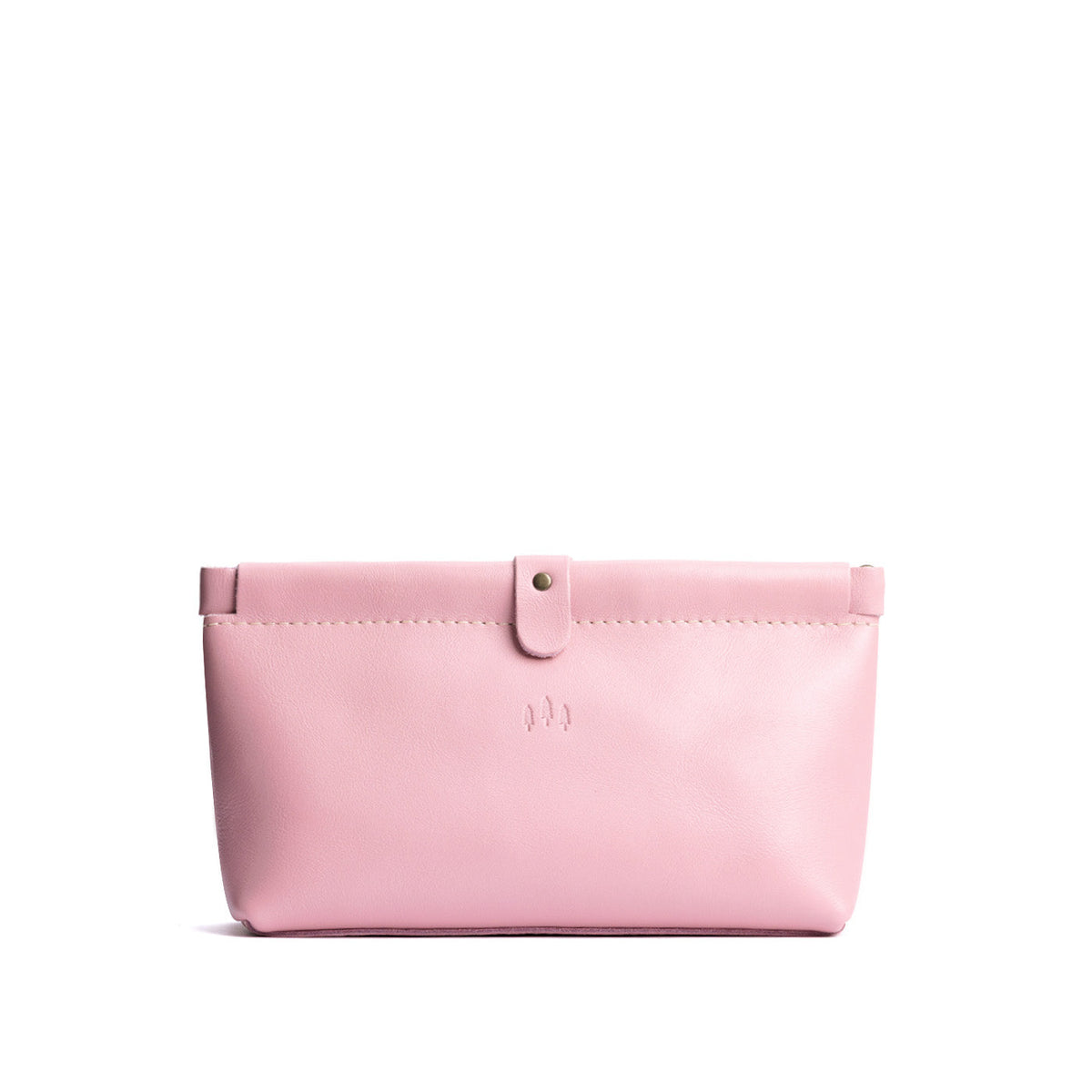 Famed Framed Pouch