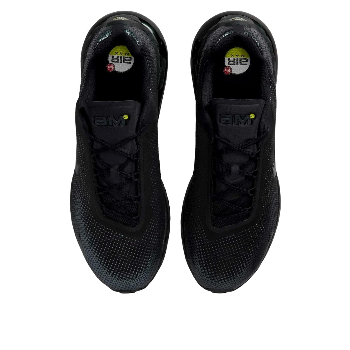 Nike Air Max Phoenix Black / Black - Anthracite  FZ5307-004 Men's